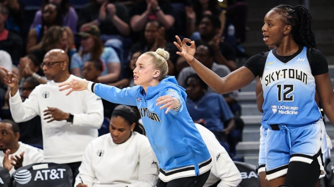 మరొక WNBA ఆట, మరొక భంగం: సెక్స్ బొమ్మ వారంలో రెండవ సారి News18